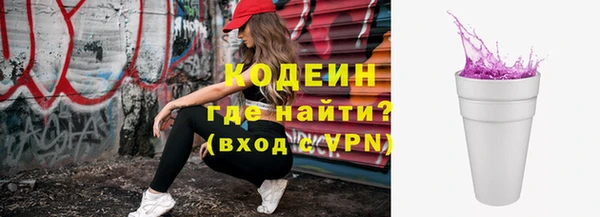 шишки Горняк