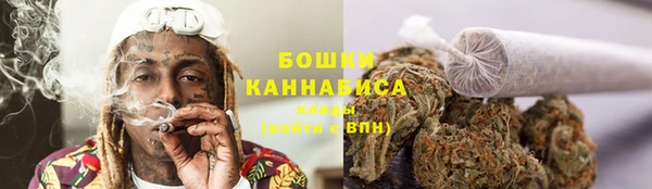 шишки Горняк