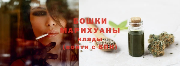 шишки Горняк