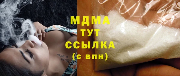 шишки Горняк