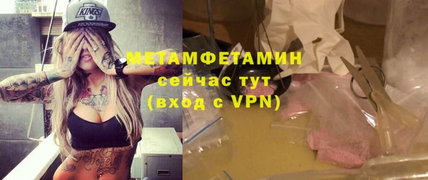 шишки Горняк